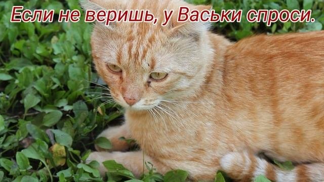 Водоворот