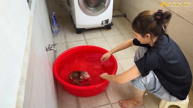 Mom take care of Bibi before leaving
