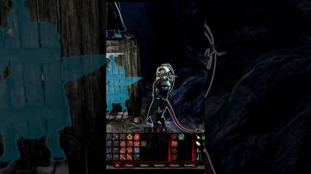 BALDUR'S GATE 3 ТУАЛЕТ Rural Toilet
