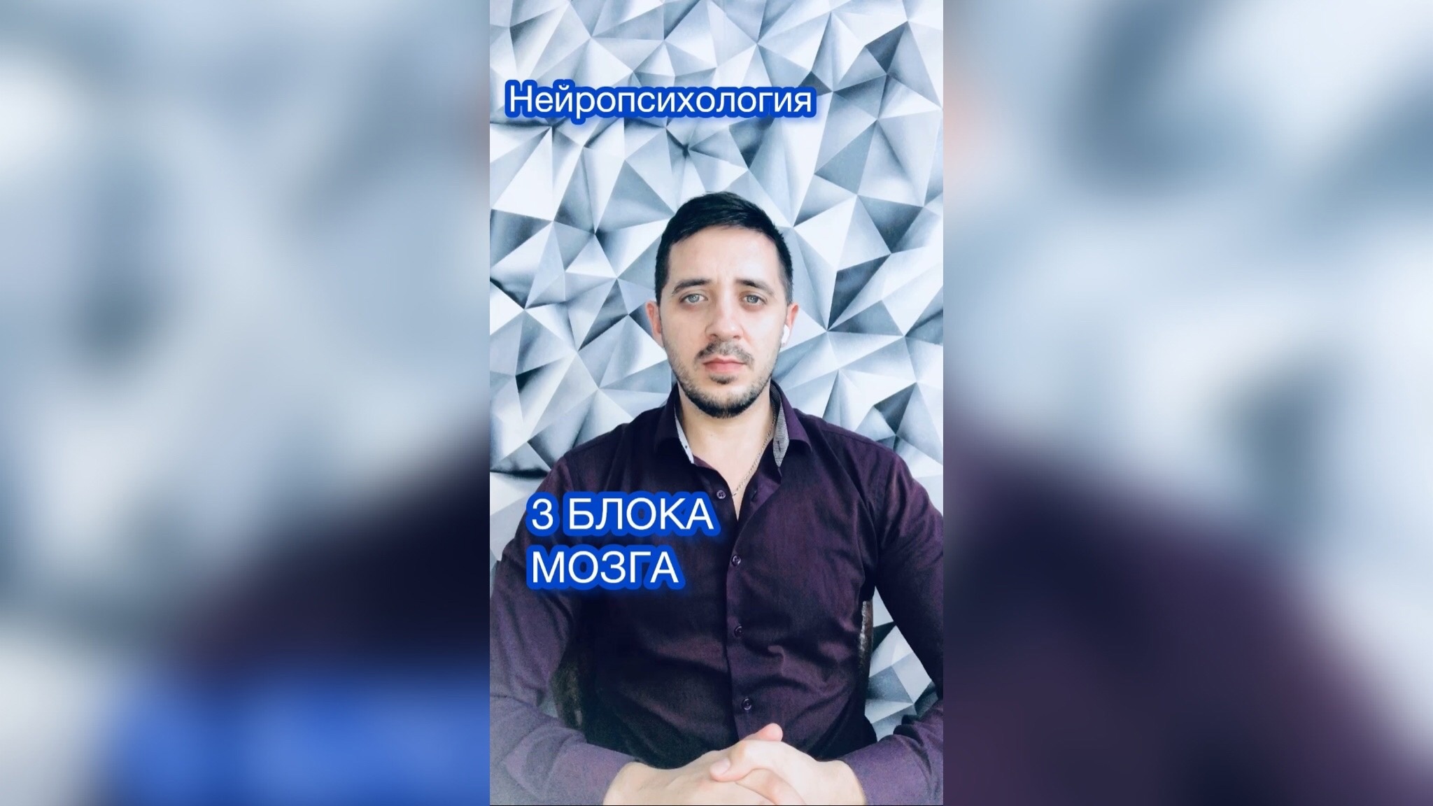 3 блока мозга