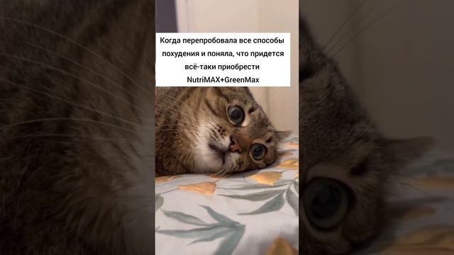 комбо для здорового похудения