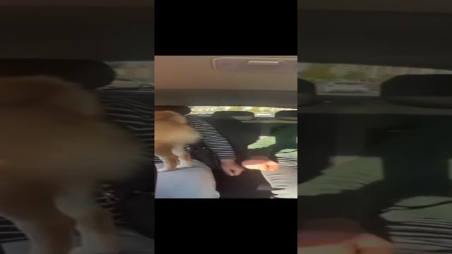 ?