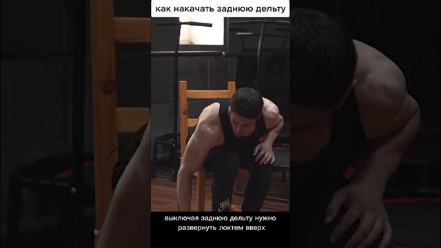 Как накачать заднюю дельту? Смотри