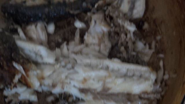 Акула в Краснодаре. Поймали акулу и пожарили. Стейк из акулы с соусом песто. Сибас и фруктовый сок