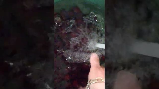 Варю вишнёвое варенье