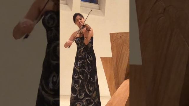 J.S.Bach: Partita II BWV 1004 D-minor, Ciaccona - LIVE