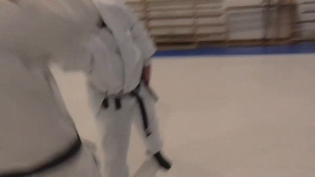 Motoha-yoshin-ryu. Seminar by Yuriy Karpenko.