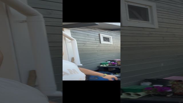 Деревенские будни