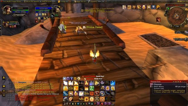 Ice WoW - Arena 2 vs 2 (Holy Paladin and Retri Paladin) #5