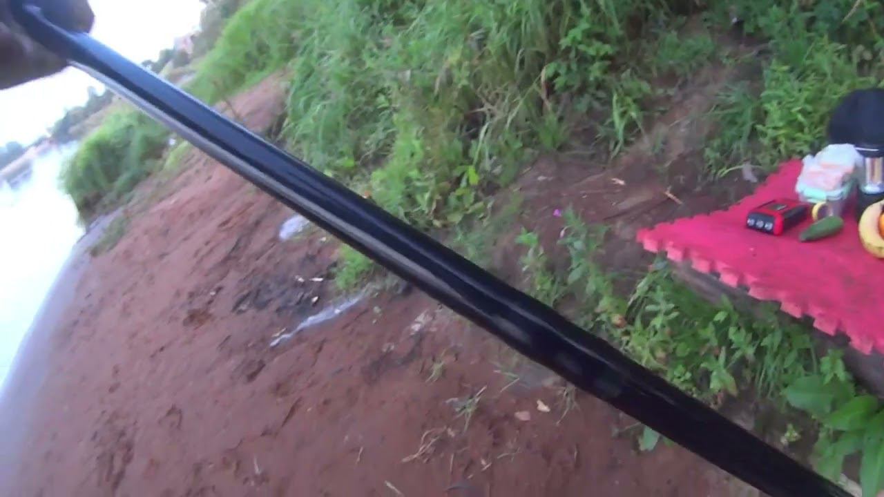 второй день Нева