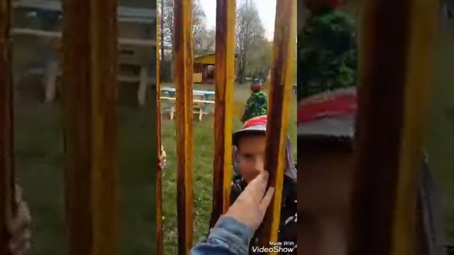 Нарываемся на детский сад. Что-то пошло не по плану