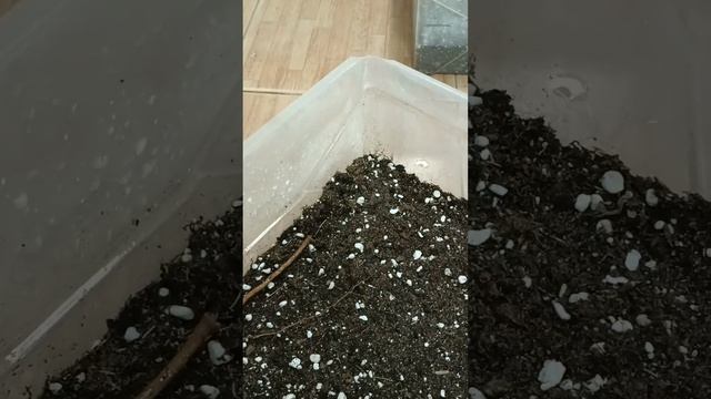 Я каждый год это делаю в январе