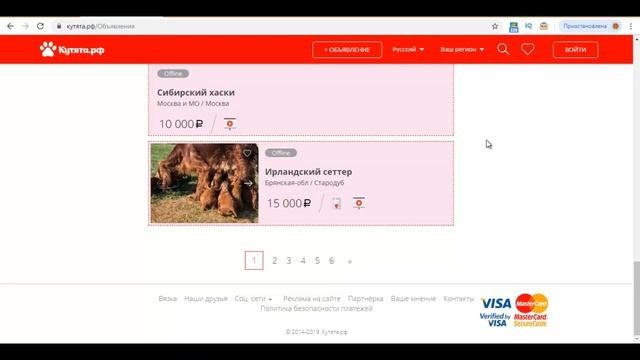 Пошаговая схема заработка на партнерской программе без вложений