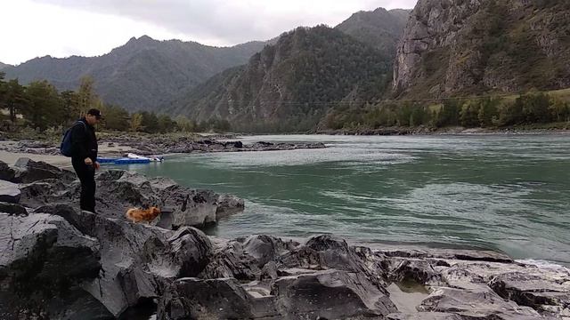 VID_20240909_143834.mp4