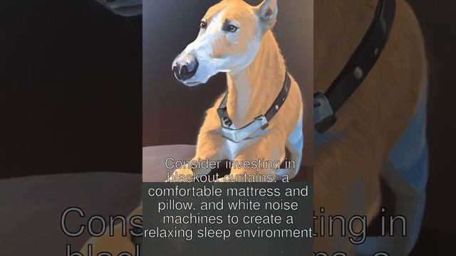 The Secret to a Perfect Night's Sleep - Creating a Relaxing Sleep Environment for Better Rest!