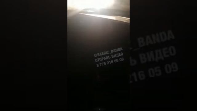 на улице увидели волка