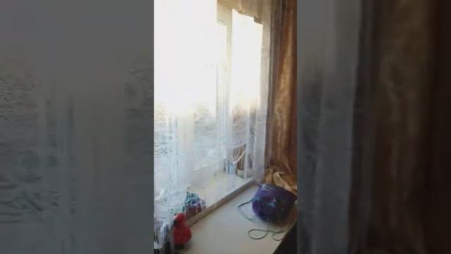 Краткая экскурсия 2.mp4
