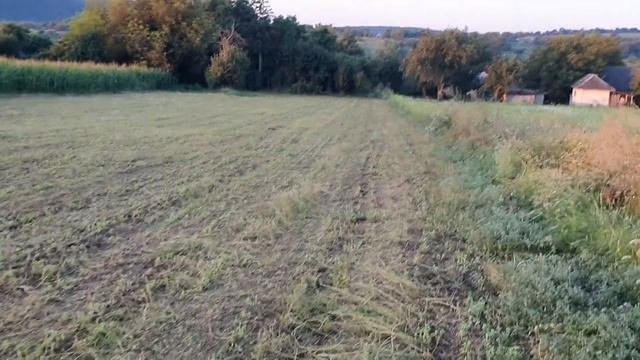 Прощание с домом на рассвете... Звуки природы. Интересная дорога, как в старых фильмах.