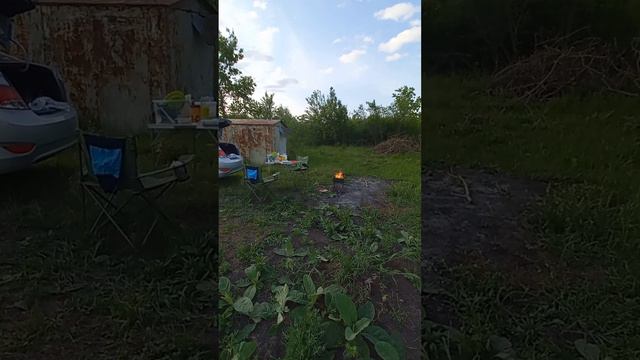 Копаем грядки 🥕 Изучаем что растёт на участке 🌳🌰 Небольшой пикник после работы 🍖🍅