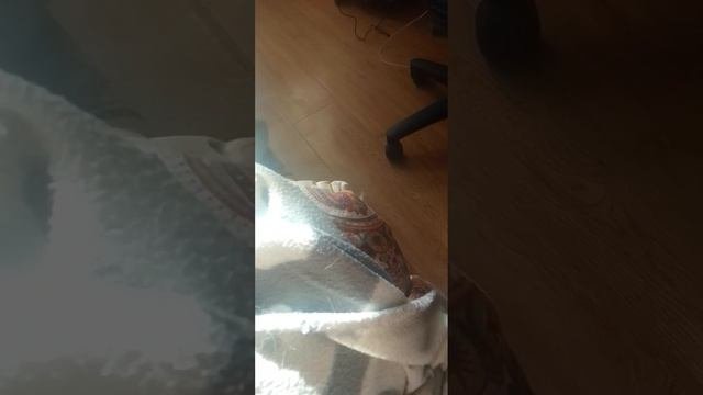 история что произошло сегодня