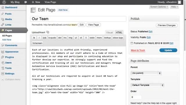 SmallBiz WordPress Theme SEO Features (Video)