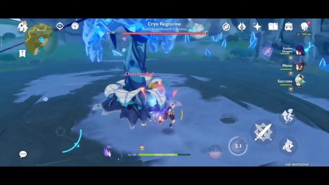 My Raiden Shogun F2P Build , Without atk buff