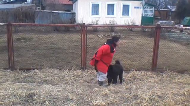 Знакомим ребенка с окружающим миром))