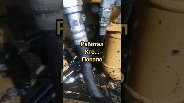 CAT ЭКСКАВАТОР!