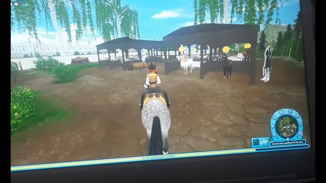 Выбираю! какую лошадь купить? Star Stable (SSO)