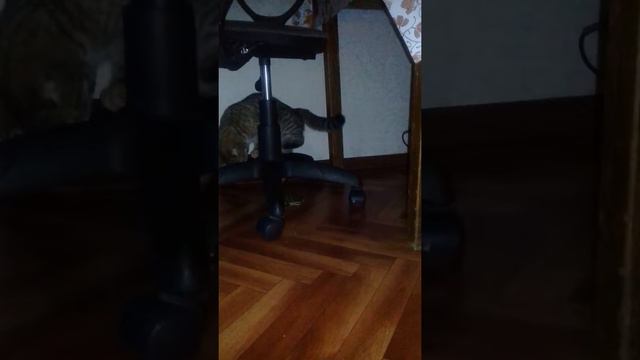 Вот, что значит настоящий верный друг.