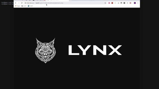 rlyCTF Solution - SSRF