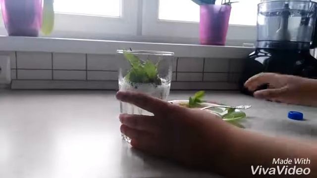 Как сделать мохито за одну минуту.