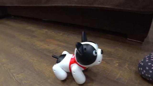 Собака робот