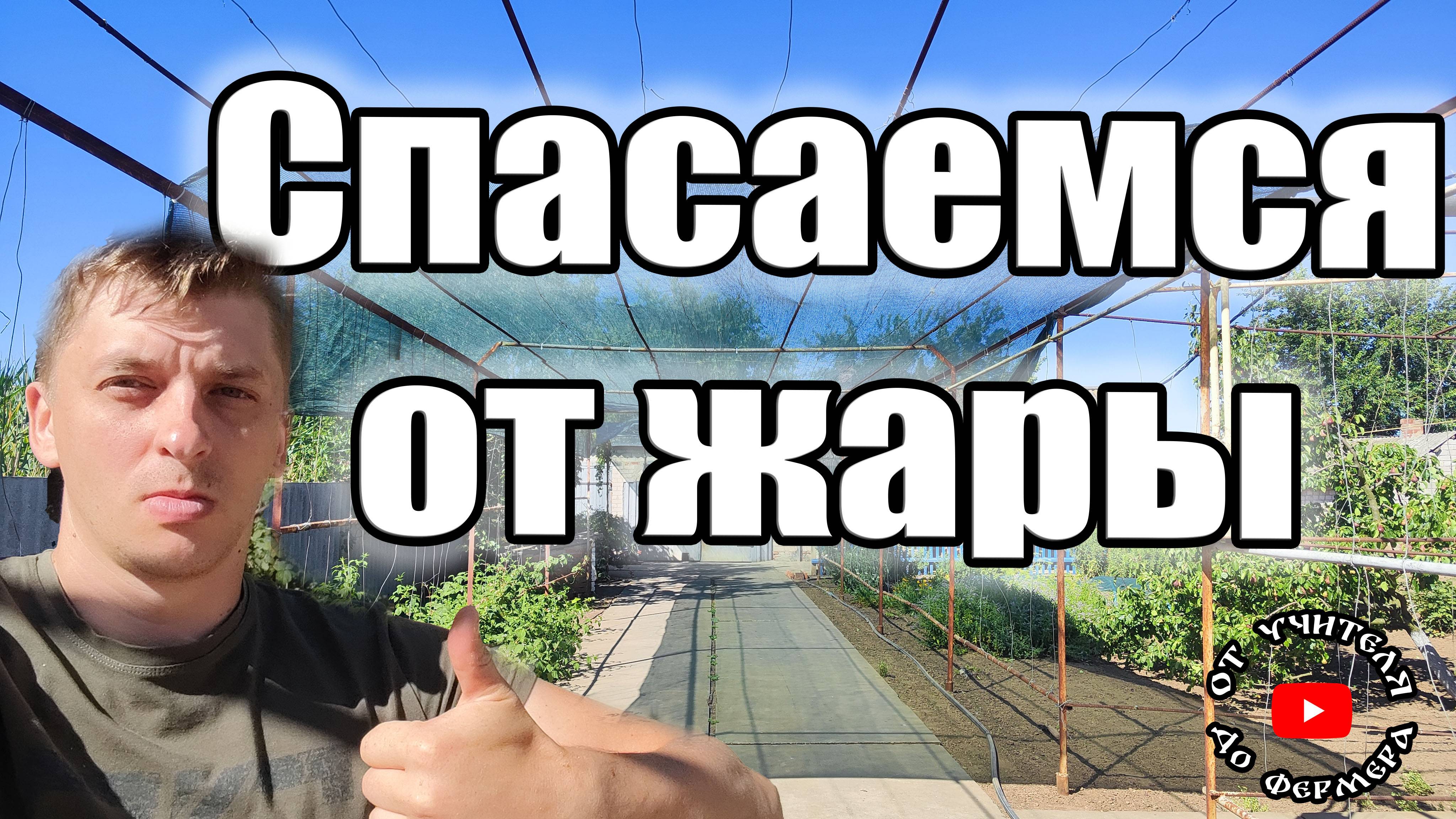 Спасаемся от жары / Обзор хозяйства