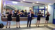 Скрипка