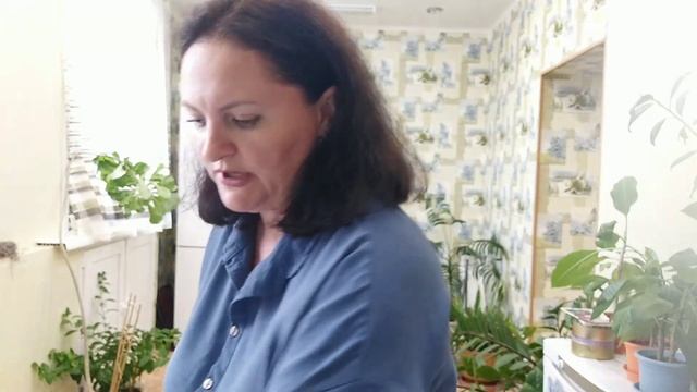 Норильск//8 августа// Что почем? Цены в Норильске