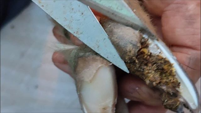 У приличных козочек, ногти должны быть ухоженные☺☺☺