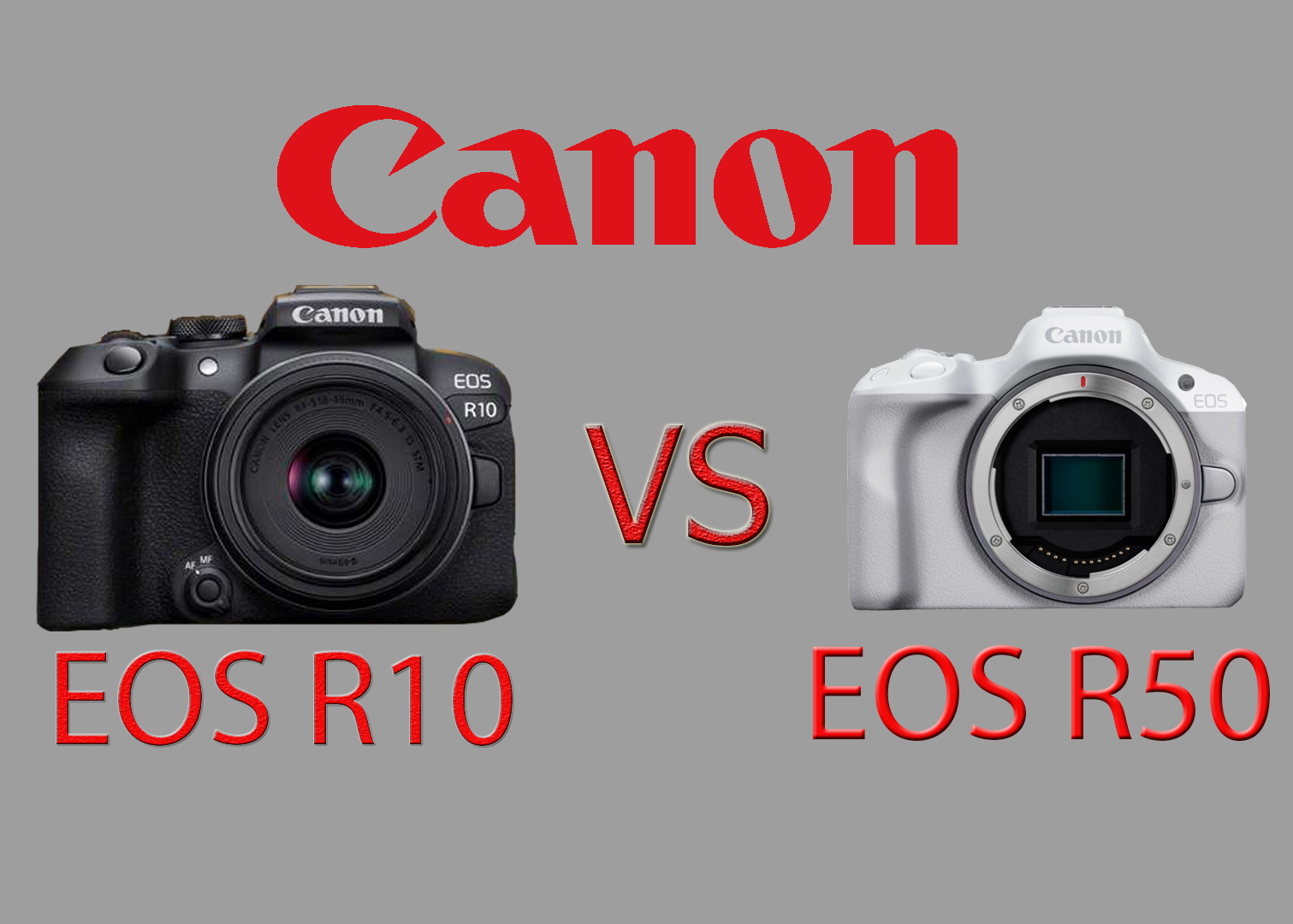 Canon EOS R50 vs R10 - что купить?