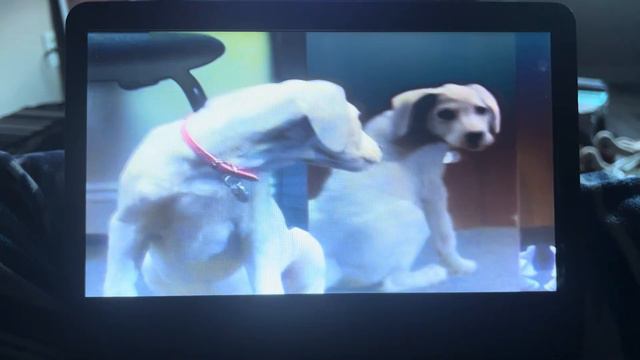 Opening To Remember The Titans 2001 DVD