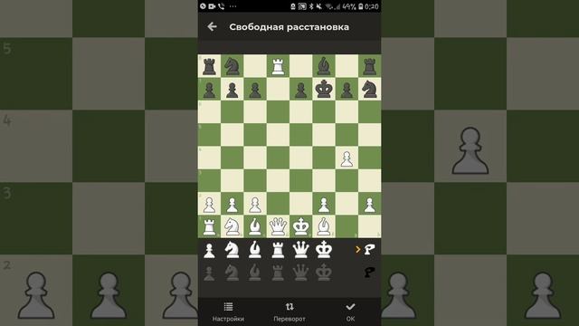 легендарная партия Бобби Фишера