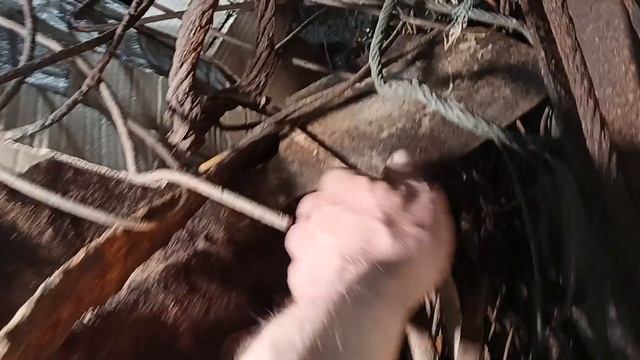 Коп после рыбалки на Уелгах.Проверяючто челябинские камрады оставили мне.