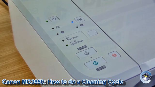 Canon Pixma MG3650: How to do Printhead Cleaning Cycles and Print a Nozzle Check Test Page