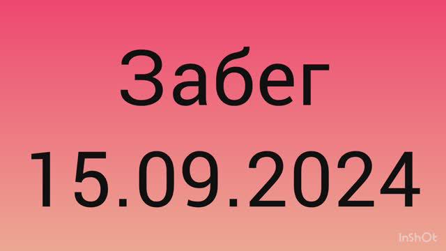 Забег 15.09.2024