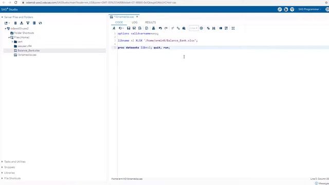 SAS LIBNAME (Access Excel Data)