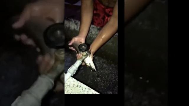 Приготвяне на щука с Вики Матев