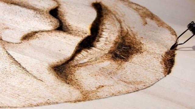 Pyrography Portrait Wood Burning Tutorial: Part 8 - 10x Speed wnarration