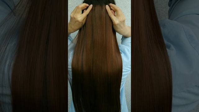 Silkstrip Волосы на заколках каштановые прямые