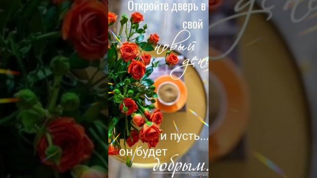 Доброе утро 💖😊Хорошего и лёгкого денечка💗💗💗