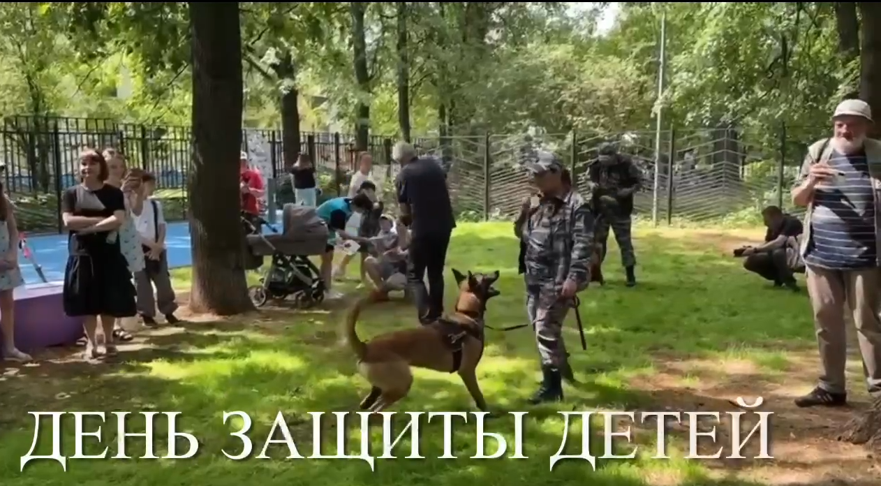 В Москве в День защиты детей служебные собаки и щенки показали, как они готовятся к службе в городе
