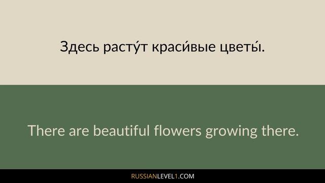 3-Hour Russian Vocabulary Course: Learn 500 Russian Words for Beginners (with Pictures)